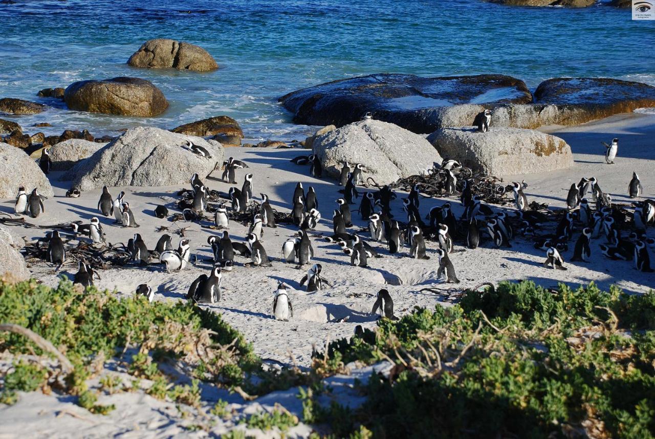 The Cheriton Guest House Cape Town Dış mekan fotoğraf